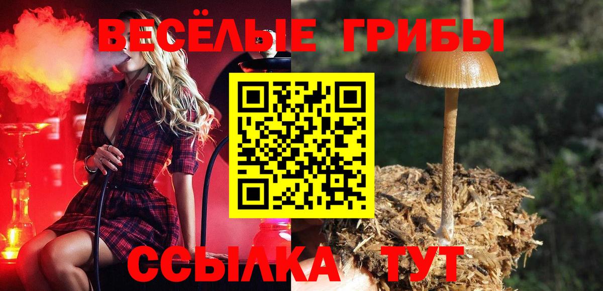 Псилоцибиновые грибы Psilocybe Лабытнанги